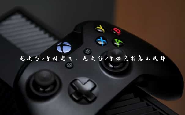 龙之谷2手游宠物,龙之谷2手游宠物怎么选择 龙之谷2手游宠物,龙之谷2手游宠物怎么选择
