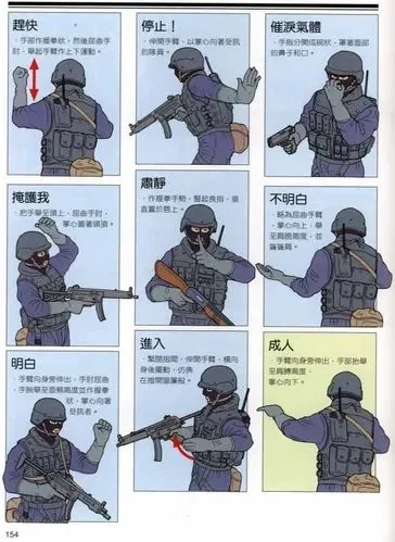 CS新手快速上手：规则、技巧与团队协作指南