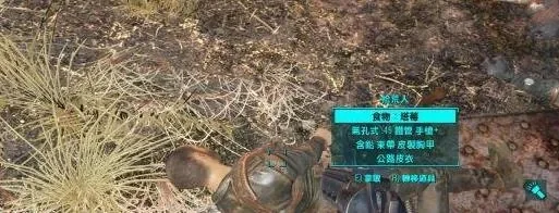 《辐射4》刷怪圣地解析：特色营地、传奇怪物与资源点攻略