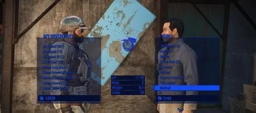 辐射4疾病应对全攻略：预防治疗与MOD使用指南