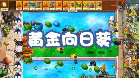 金向日葵攻略：冒险模式至支线关卡全攻略