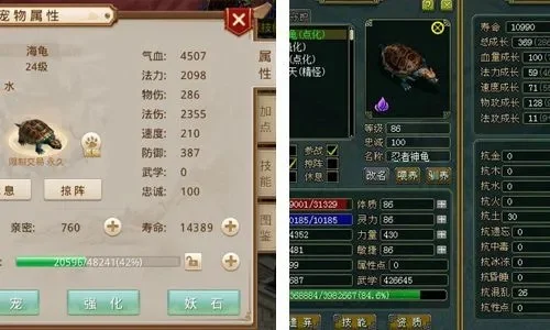 问道手游宝宝对比：果果与电精属性分析及选择指南