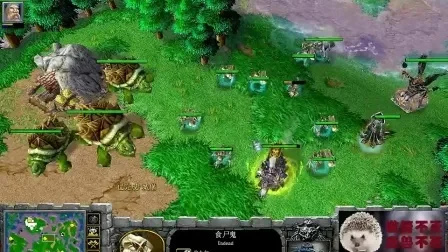 魔兽争霸3种族开局攻略：兽族与人族策略与技巧