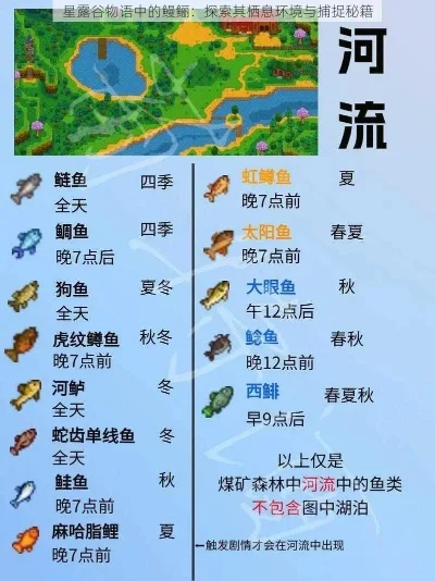 高效捕鳗攻略：详解各路线与资源获取