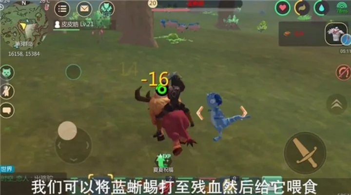 蓝蜥蜴捕捉攻略：分布地点+技巧+步骤详解
