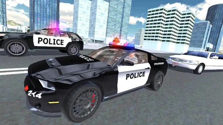 警察巡逻模拟器攻略游戏-警察巡逻模拟器攻略