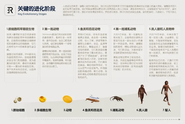 生物进化类游戏排行榜-生物进化游戏推荐榜