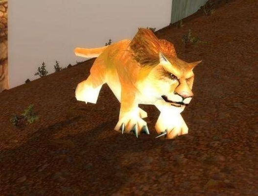 魔兽世界狐狸灵魂兽-狐狸灵魂兽：狡黠野性化身